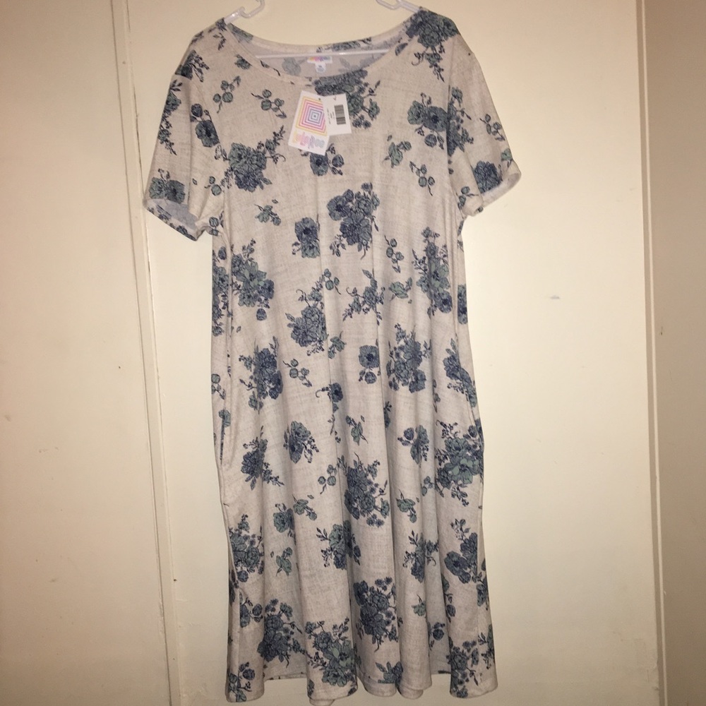 LuLaRoe XL Jessie Dress